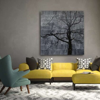 The Botanical Collection