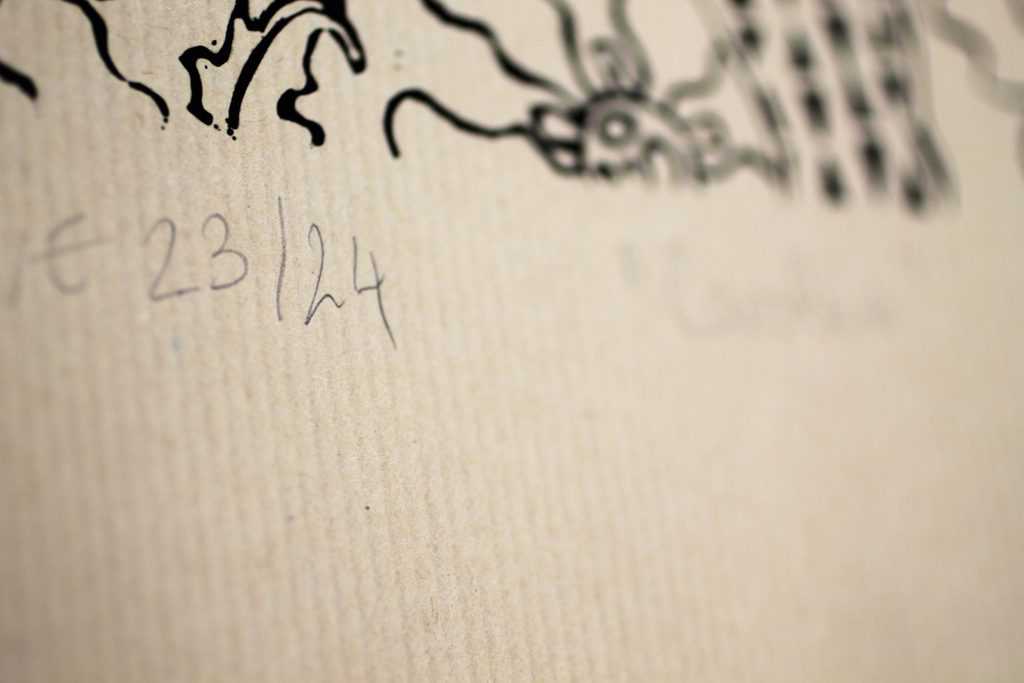 Carolina- Varied Limited edition of 24 - Image 5