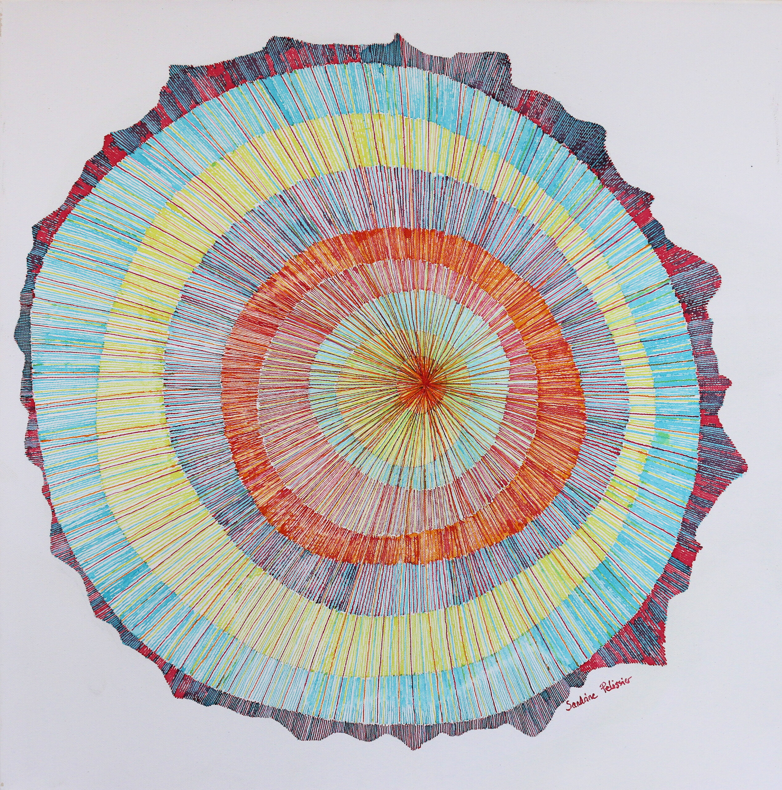 Petrified Forest VI - Image 2