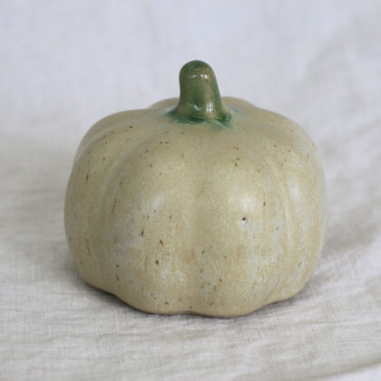 The Artisan's Pumpkin- Assorted colours